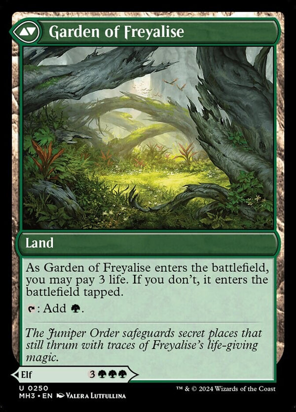 Disciple of Freyalise / Garden of Freyalise - MH3 250 - NM EN - Magic MTG