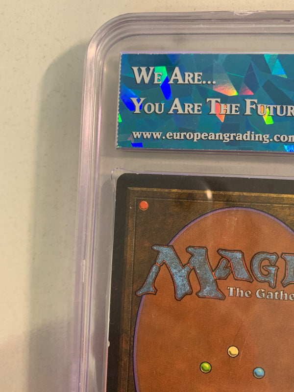 Time Vault Unlimited Graded 8 (8.5/8/7,5/8) Near Mint Magic The Gathering MTG