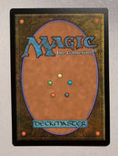 Hallowed Fountain Shockland - Secret Lair - Near Mint EN - SLD-123 - MTG Magic