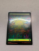 Forest Full Art Foil - Dominaria United - DMU 281 - EN - NM - MTG Magic